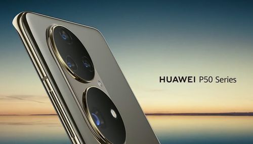 宾果汽车带多少款